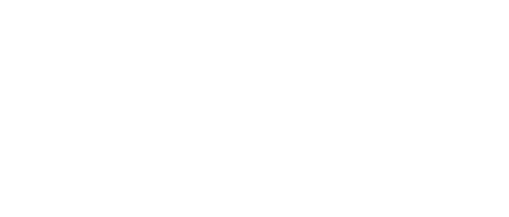 CURE Flags white logo transparent